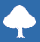 icon_forest
