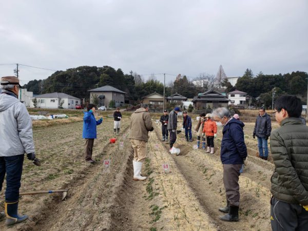 2月16日 スローライフ事業 玉ねぎに追肥 多治見市南姫公民館