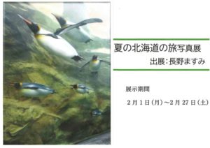 ギャラリーひめ2月のご案内