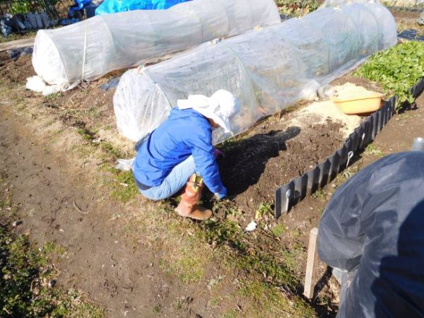 土づくりに励むなかよし農園の方