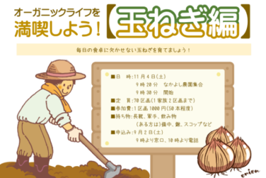 オーガニックライフを満喫しよう【玉ねぎ編】