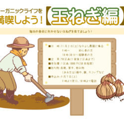 玉ねぎ編