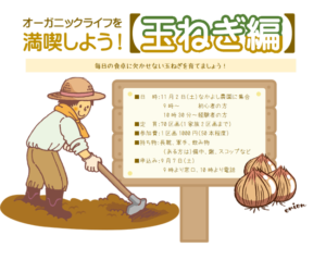 玉ねぎ編