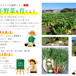 秋冬野菜を育てよう