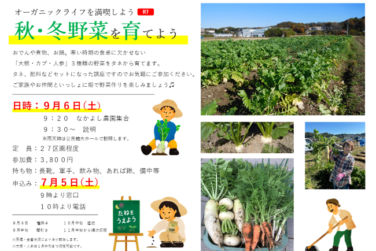 秋冬野菜を育てよう