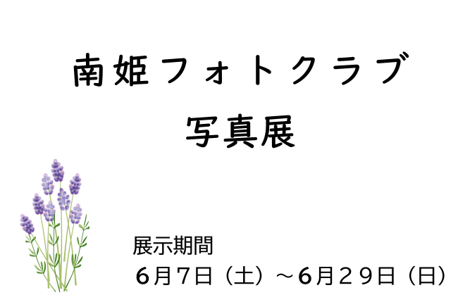 ギャラリーひめ6月の展示