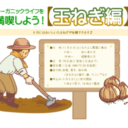 玉ねぎ編