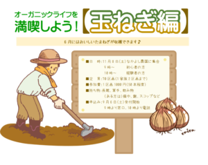 玉ねぎ編
