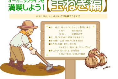 玉ねぎ編