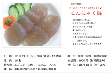 こんにゃく編