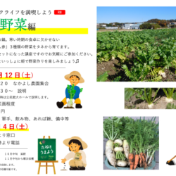 秋冬野菜を育てよう