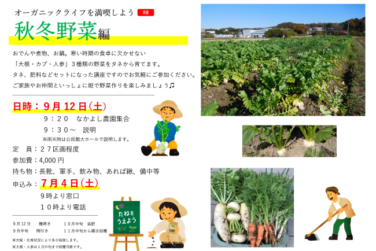 秋冬野菜を育てよう