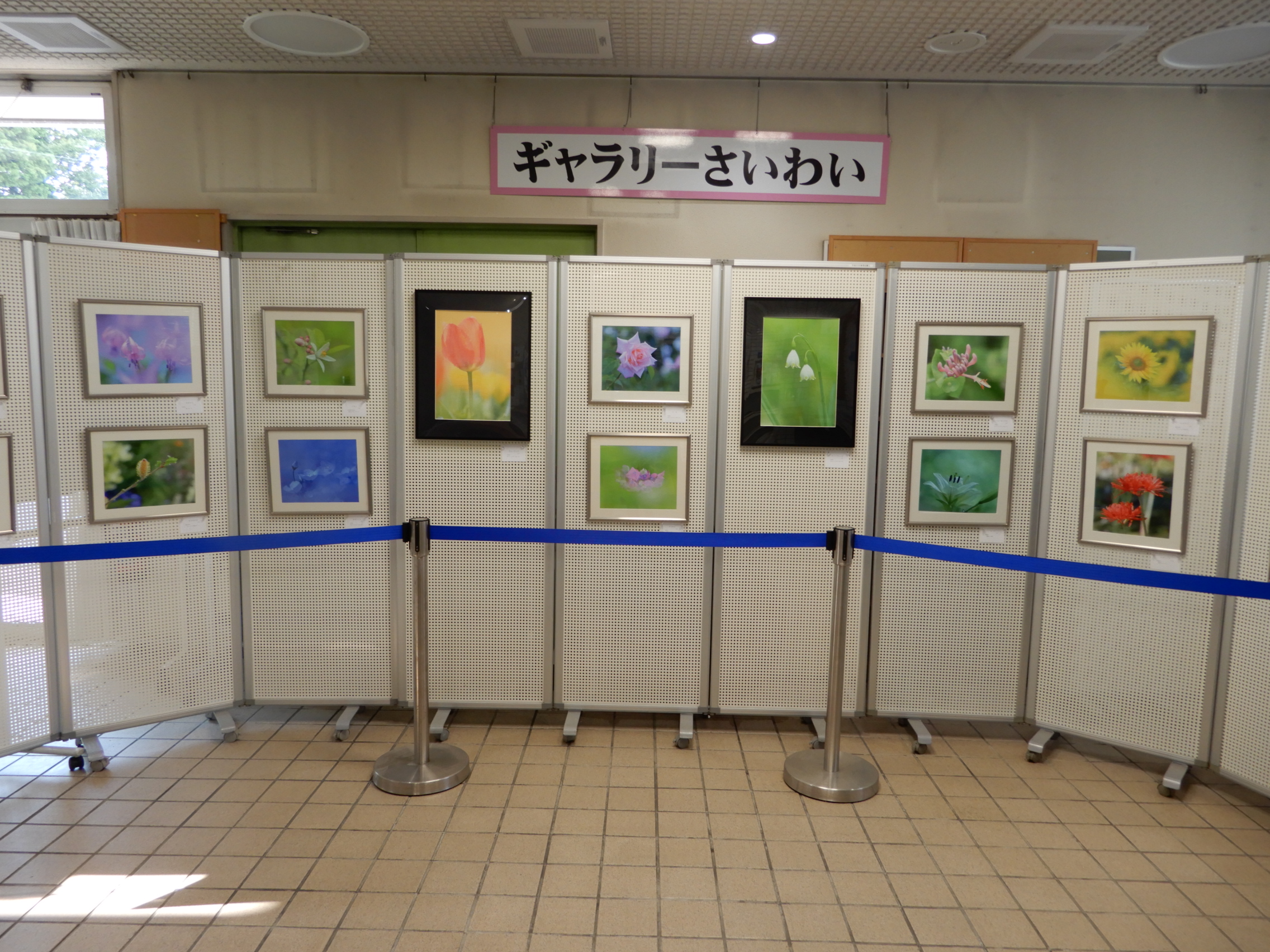 DSCN4568